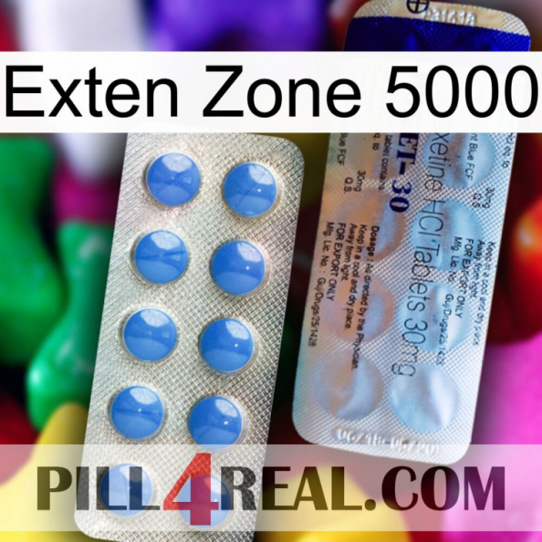 Exten Zone 5000 39.jpg